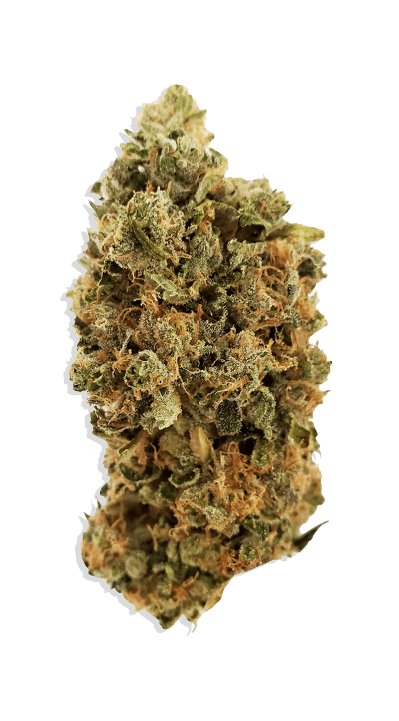 HD Flower Whole Flower